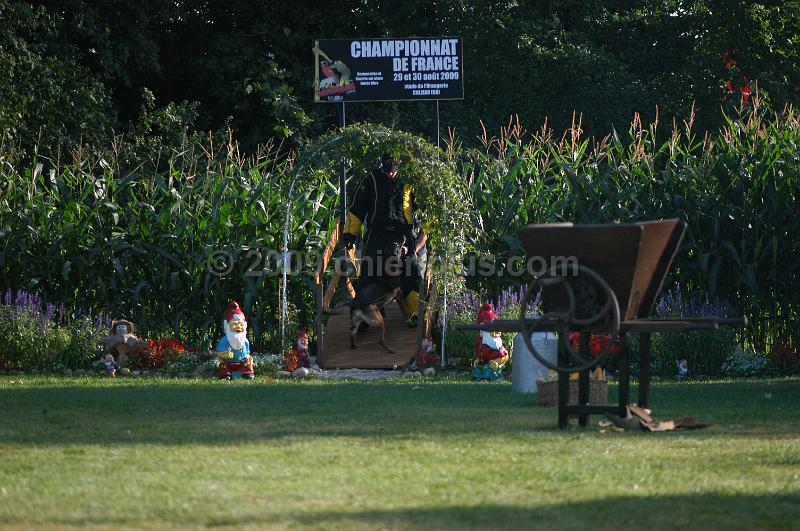 DSC_0414.JPG