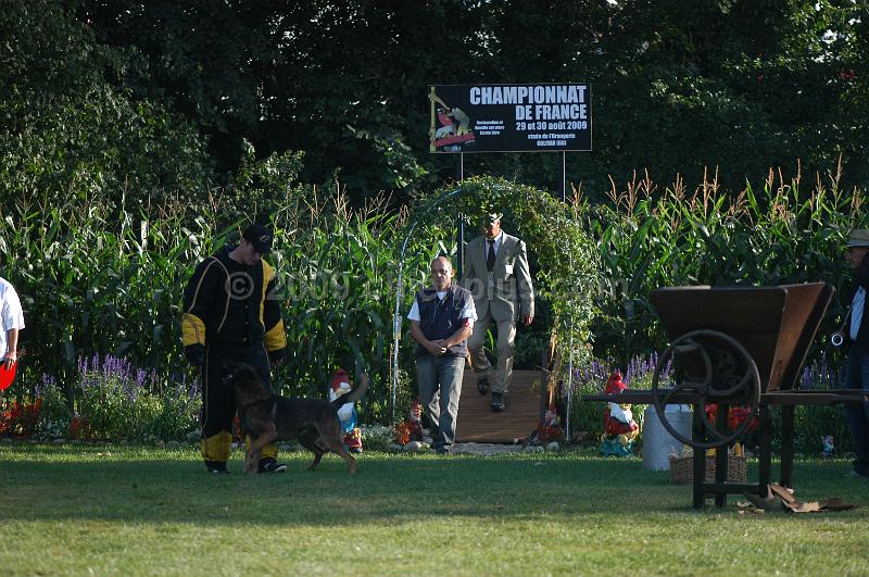 DSC_0418.JPG