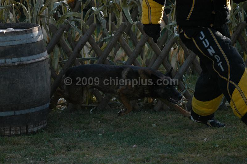 DSC_0424.JPG