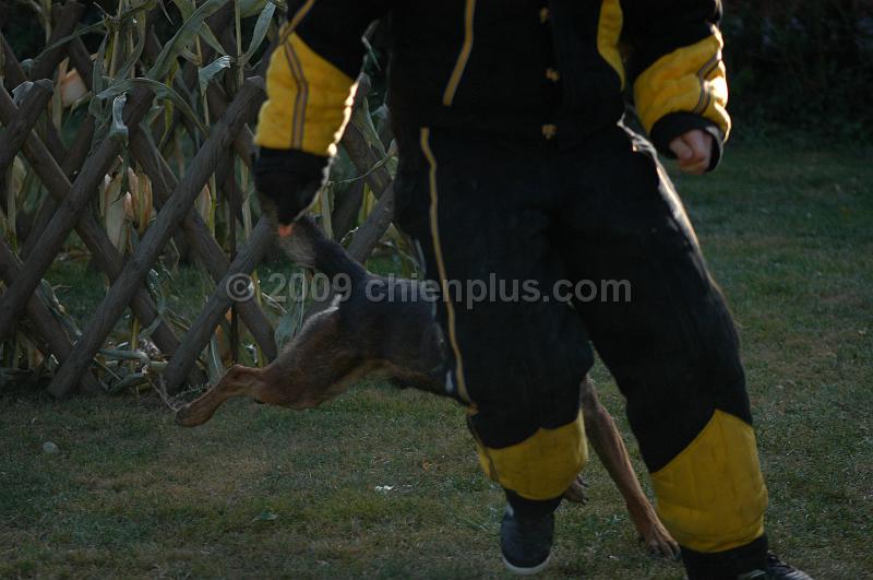 DSC_0425.JPG