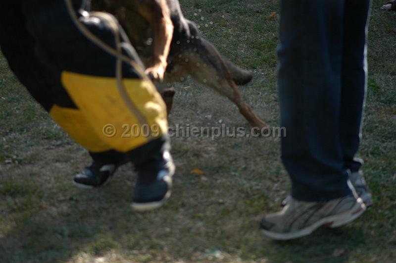 DSC_0426.JPG