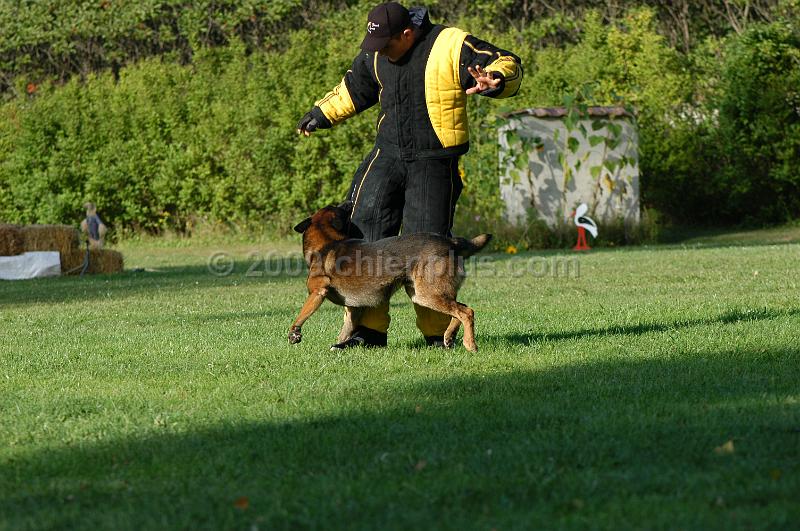 DSC_0433.JPG