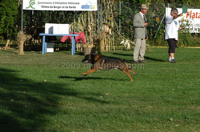 DSC_0444.JPG
