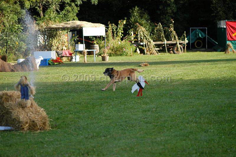 DSC_0449.JPG