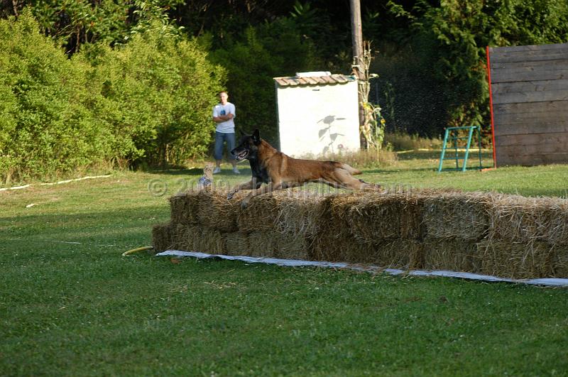 DSC_0452.JPG