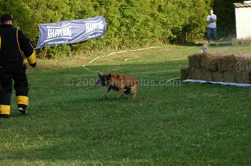 DSC_0453.JPG