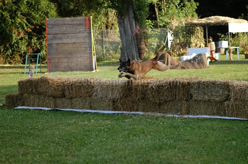 DSC_0458.JPG