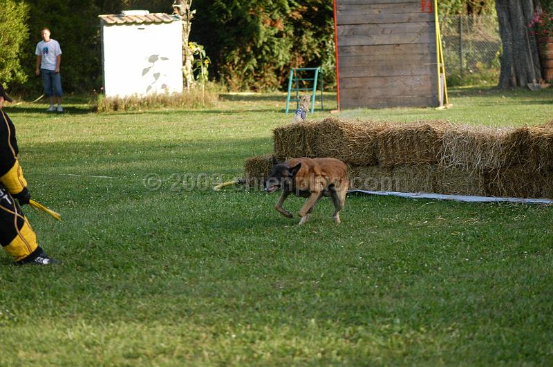 DSC_0459.JPG