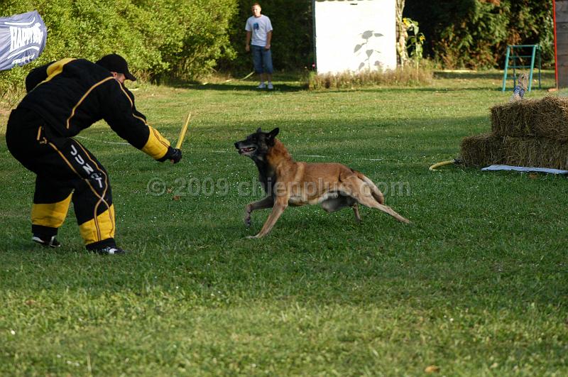 DSC_0460.JPG