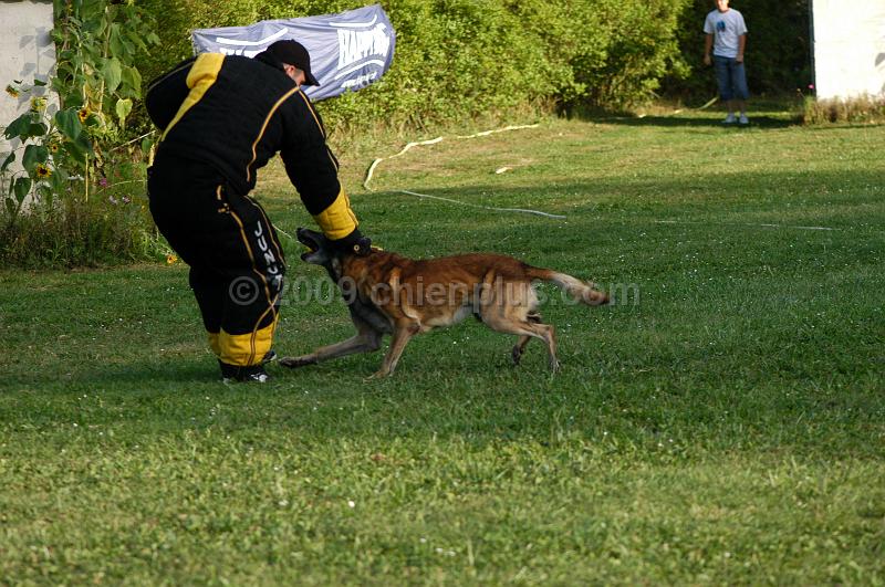 DSC_0461.JPG
