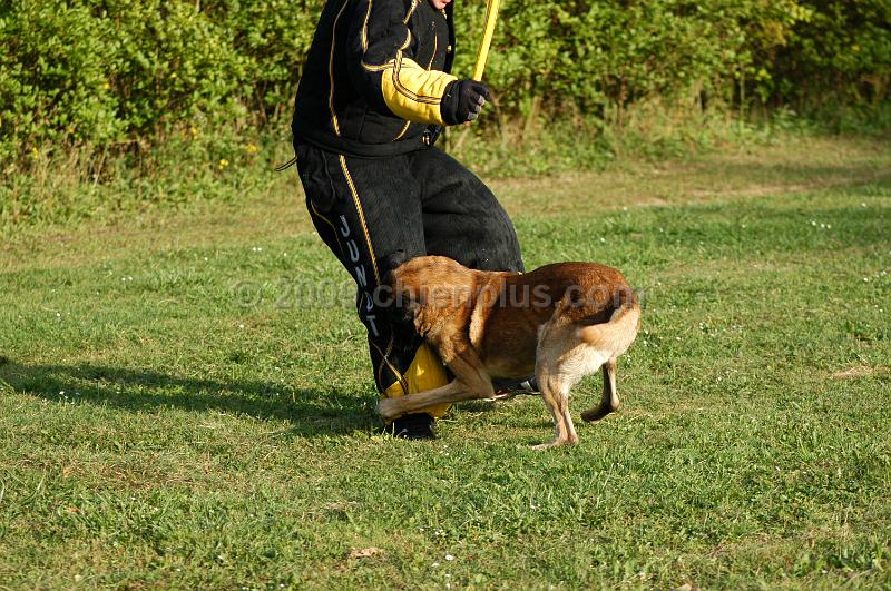 DSC_0466.JPG