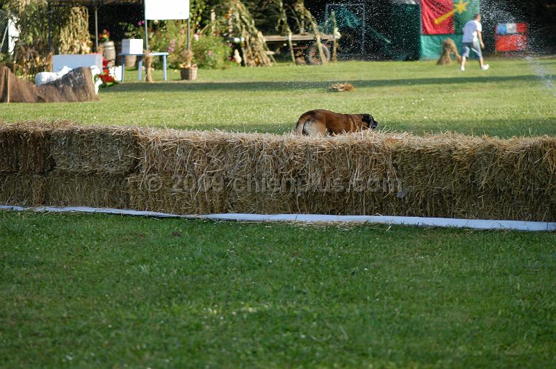DSC_0474.JPG