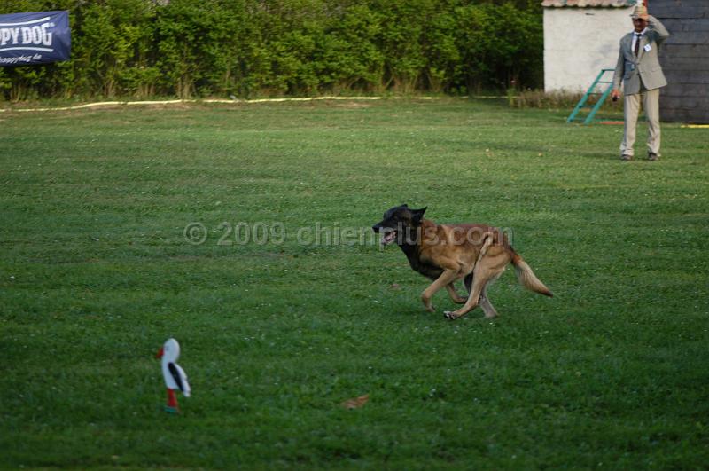 DSC_0476.JPG