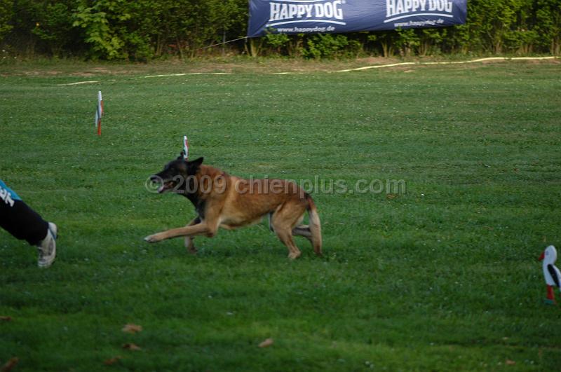 DSC_0477.JPG