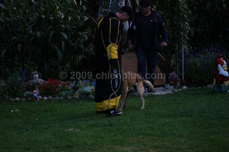 DSC_0478.JPG