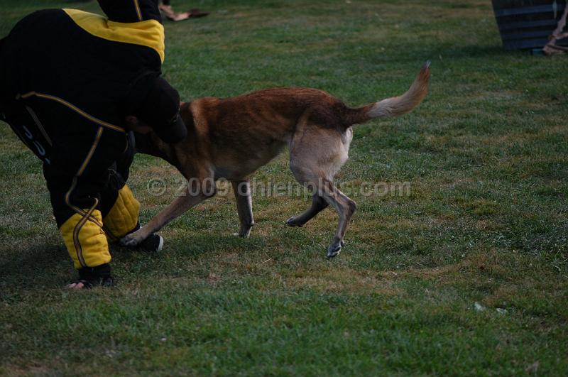 DSC_0484.JPG