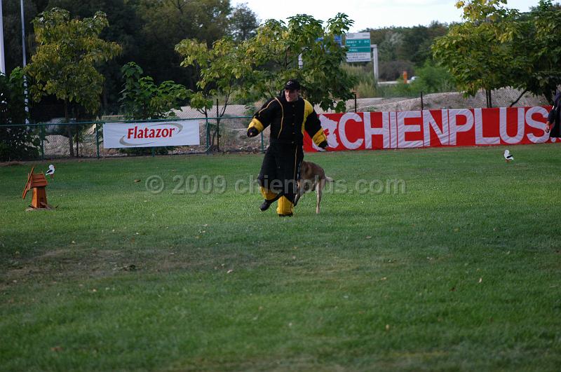 DSC_0487.JPG