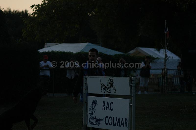 DSC_0494.JPG