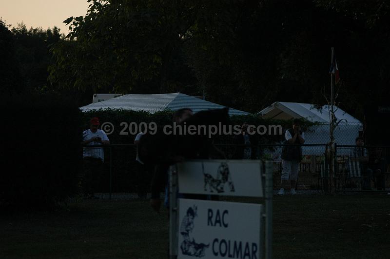 DSC_0495.JPG
