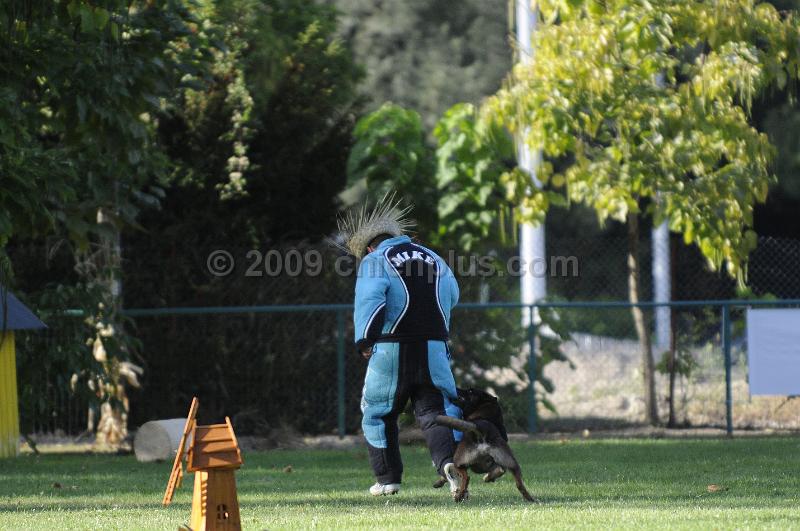 _DSC3982.JPG - CHIENPLUS.COM