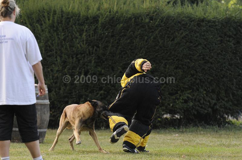 _DSC4048.JPG - CHIENPLUS.COM