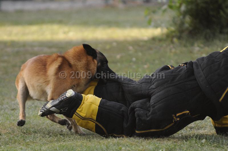 _DSC4108.JPG - CHIENPLUS.COM
