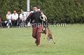DSC02960