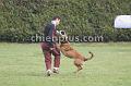 DSC03031