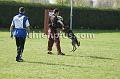 DSC09913